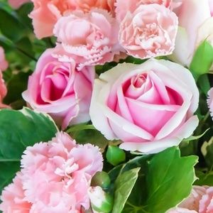 Meet your Posher, Nelly